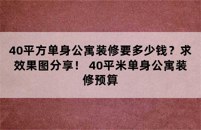 40平方单身公寓装修要多少钱？求效果图分享！ 40平米单身公寓装修预算